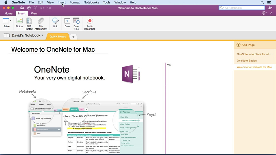 how to draw in onenote for mac